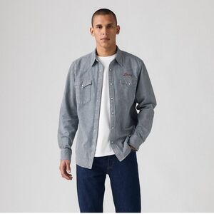 Levi's® Men's Western Standard Fit Long Sleeve Button-Down Striped Shirt (L)